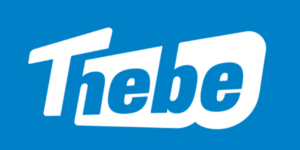 Thuis en veilig logo (5)